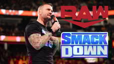 WWE Is Planning Two HUGE Feuds For CM Punk; New Details On Which Brand He's Been Assigned To