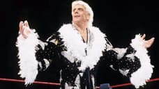 2K Games Announces WWE 2K19 Wooooo! Edition Featuring Ric Flair Merchandise