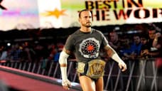 UFC Star CM Punk Makes It Clear He's Done With Professional Wrestling