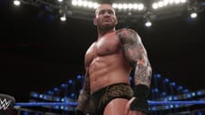 Randy Orton's Tattoo Artist Is Suing WWE And 2K Games For Copyright Infringement