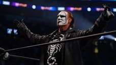AEW Star, WWE Hall Of Famer, And WCW Icon Sting Has Officially Announced His Retirement From Wrestling
