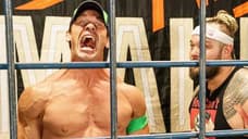 Backstage News On WRESTLEMANIA's Firefly Fun House Match, Including John Cena's Creative Involvement