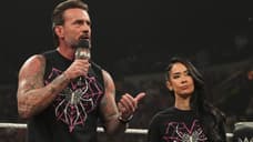 CM Punk On Teaming With AJ Lee, Real-Life Issues With Seth Rollins, And Ridiculous WRESTLEPALOOZA Name