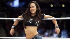 Former WWE Superstar AJ Styles Weighs In On The Possibility Of Having One More Match