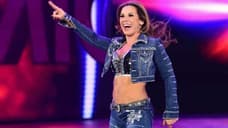 Former WWE Women's Champion Mickie James Will Be Out For The Remainder Of The Year