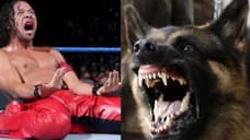 Here's How Long SMACKDOWN LIVE's Shinsuke Nakamura Is Expected To Be Out Of Action For