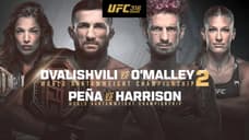 Merab Dvalishvili Destroys Sean O'Malley In The Main Event Of UFC 316