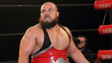 Michael Elgin Is Out Of The WRESTLE KINGDOM 13 Pre-Show Gaunlet Match