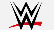New WWE Writer Says The Company Did Not Require Me To Know Anything About Wrestling