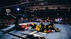 RING OF HONOR And MAJOR LEAGUE WRESTLING Comment On The Possibility Of Running Events In Florida