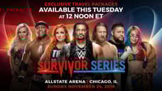 SURVIVOR SERIES Travel Packages Go On Sale This Tuesday - Check Out The First Official Poster Art
