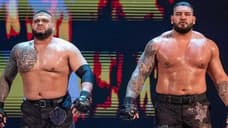 The Authors Of Pain (Akam And Rezar) Have Been Released By WWE