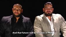 The Authors Of Pain Announce Their Imminent Return; Put The WWE Tag-Team Division On Notice