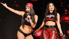 The Bella Twins Have Been Moved To The Alumni Section On The WWE.com Website