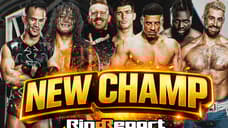 TITLE CHANGE! New NXT Champion Crowned In 7-Man Ladder Match