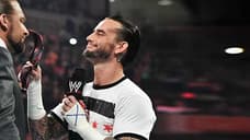 Triple H Once Again Shares His Thoughts On CM Punk And AJ Lee Potentially Returning To WWE