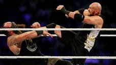 Tyson Fury Wants To Face Brock Lesnar Next And Suggests It Could Happen At WRESTLEMANIA