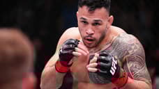 UFC Middleweight Brad Tavares Was Removed From The Company's Roster