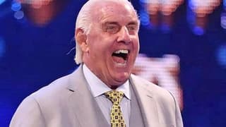WWE Hall Of Famer Ric Flair To Risk Death By Making In-Ring Return; Opponents Possibly Revealed