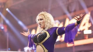 WWE Rumor Roundup: NXT Callups, Scrapped nWo Reboot, Clash In Italy Spoiler, And More