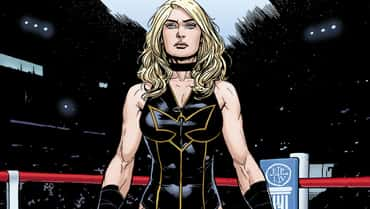 New DC Comics Series BLACK CANARY: BEST OF THE BEST Will Be Heavily Inspired By WWE Confirms Writer Tom King