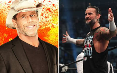 WWE Hall Of Famer Shawn Michaels Shares His Thoughts On CM Punk's Shocking WWE Return