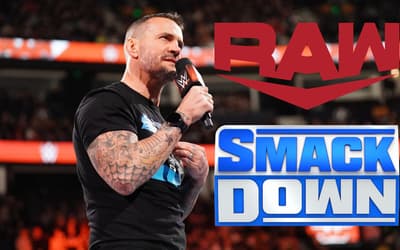 WWE Is Planning Two HUGE Feuds For CM Punk; New Details On Which Brand He's Been Assigned To