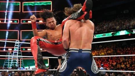 There's One Pro Wrestling Move Jim Ross Is Tired Of Seeing And Now You Won't Be Able To Unsee It