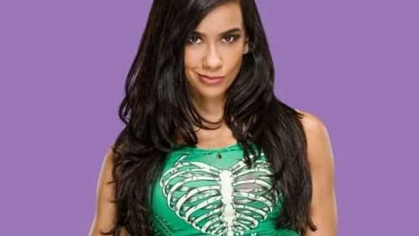 CM Punk Reveals Whether Former WWE Superstar AJ Lee (AJ Mendez) Is Planning To Return To Wrestling