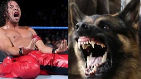 Here's How Long SMACKDOWN LIVE's Shinsuke Nakamura Is Expected To Be Out Of Action For