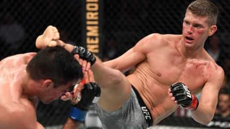 Stephen Thompson Picks Apart Vicente Luque To Earn Unanimous Decision Win At UFC 244