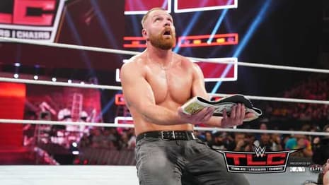 Vince McMahon Was Reportedly Not Happy With The Seth Rollins Vs. Dean Ambrose Match At TLC