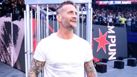 WWE Has Huge Match Planned For CM Punk On Holiday Tour - Could It Be A Sign Of Things To Come At WRESTLEMANIA?