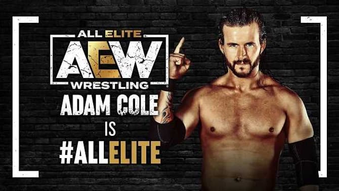 Former NXT Champion Adam Cole Jumps Ship To AEW...And Shocks The World By Joining The Elite!