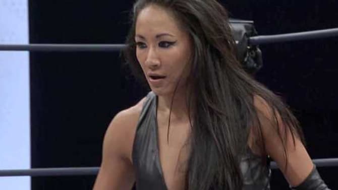 Gail Kim Believes That Vince McMahon Doesn't Think That Someone Of Color Can Be The Face Of The WWE