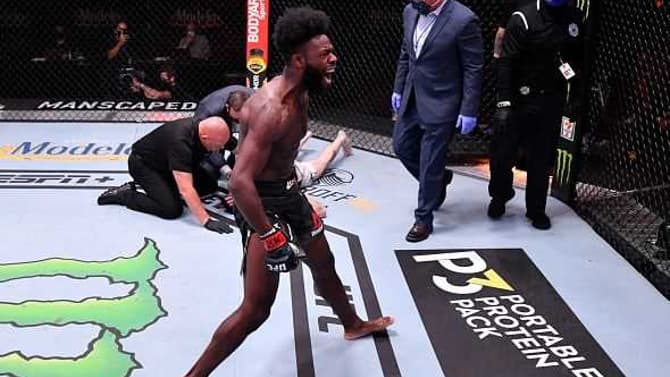 Aljamain Sterling Makes Strong Case For Bantamweight Title Shot After Impressive UFC 250 Win