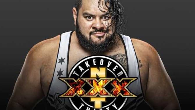 Bronson Reed Advances To NXT TAKEOVER: XXX North American Championship Ladder Match