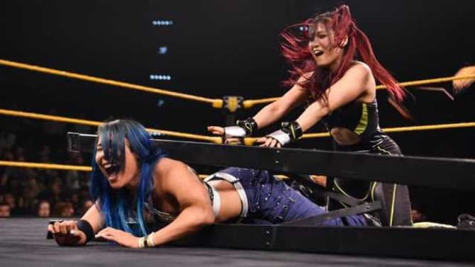 Here's An Update On Mia Yim's Condition After Last Night's Brutal NXT Ladder Match