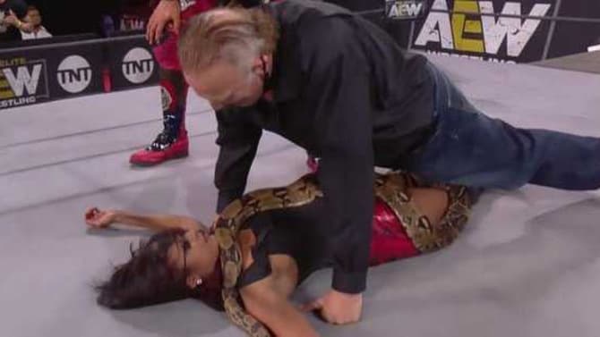 Jake Roberts Reintroduces The Snake On AEW DYNAMITE In Heinous Attack On Brandi Rhodes