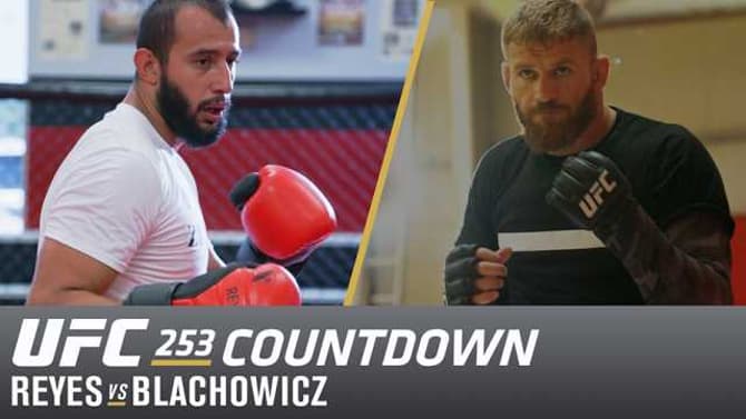 UFC 253 Countdown Special Showcases The Training Of Both Dominick Reyes And Jan Blachowicz