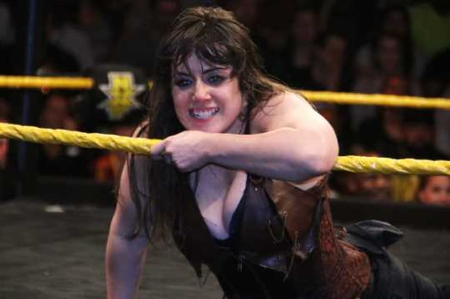 A Top NXT Superstar Works A Tag-Match At A Recent WWE SMACKDOWN LIVE Event