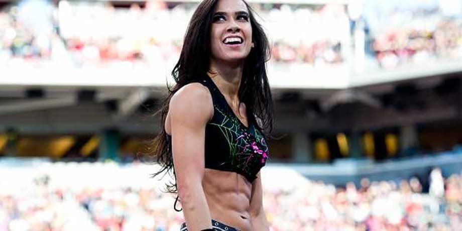 AJ Lee Makes It Clear That She Has No Plans To Wrestle Again Despite Recent Speculation