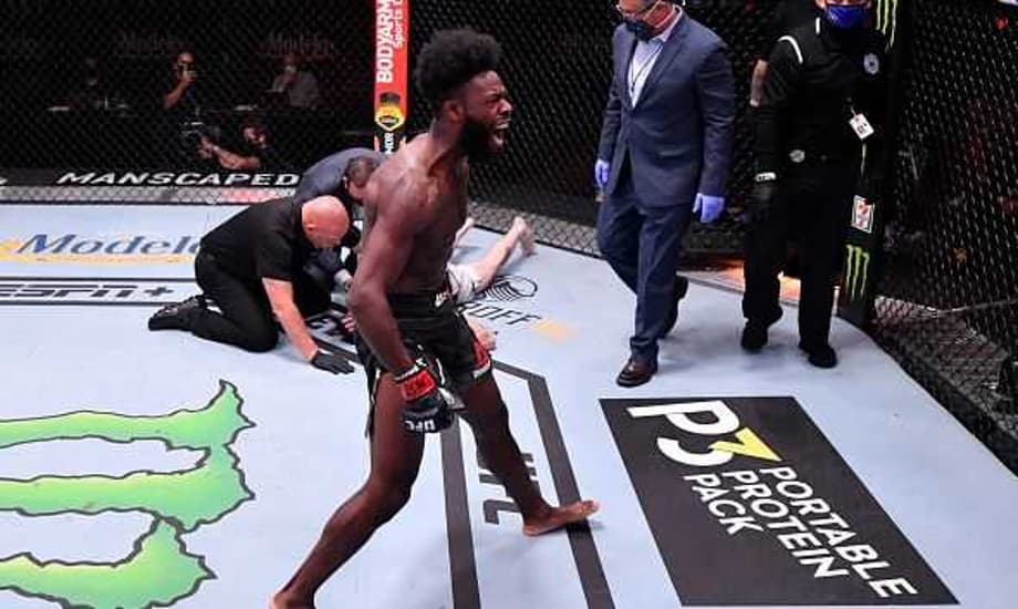 Aljamain Sterling Makes Strong Case For Bantamweight Title Shot After Impressive UFC 250 Win