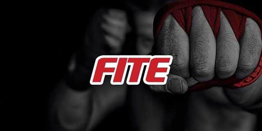 FITE TV COO Reveals What They've Actually Been In Talks With WWE About