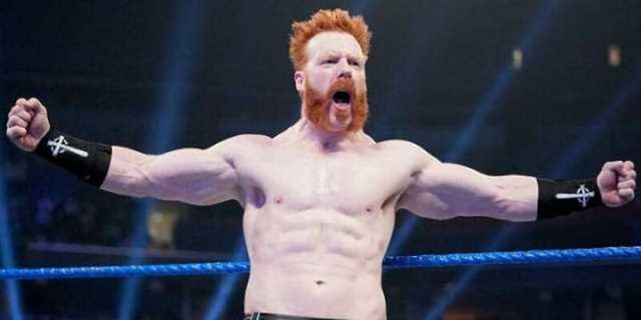 Former WWE Producer Arn Anderson Says SMACKDOWN Superstar Sheamus Doesn't Understand Selling