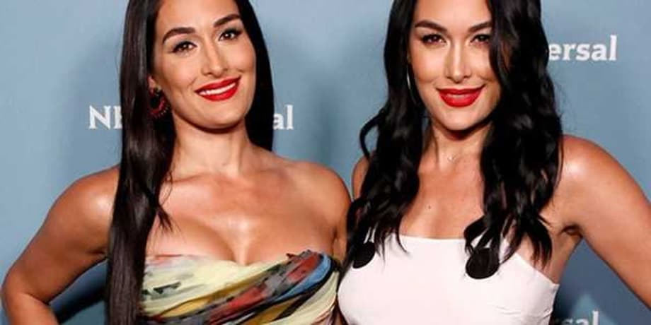 Former WWE Superstars Brie And Nikki Bella Are Both Pregnant!