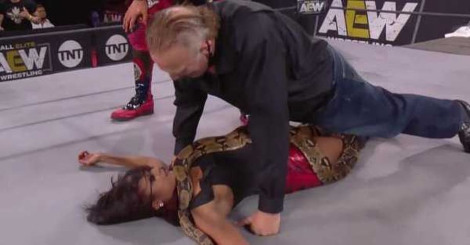 Jake Roberts Reintroduces The Snake On AEW DYNAMITE In Heinous Attack On Brandi Rhodes