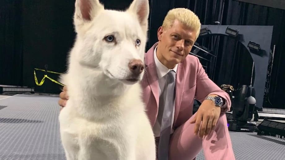 Last Night's Episode Featured A HUGE Surprise Debut: Pharaoh, Cody Rhodes' Beloved Dog!