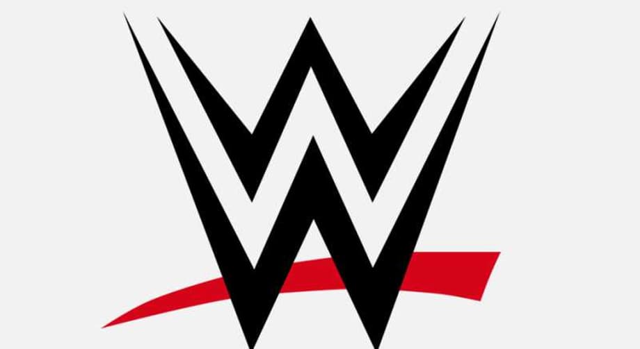 New WWE Writer Says The Company "Did Not Require Me To Know Anything About Wrestling"