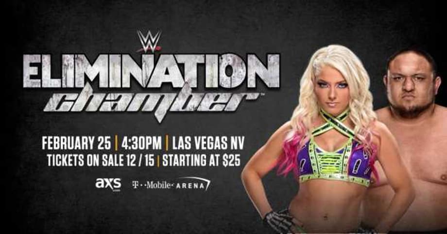 Possible Participants In The Upcoming Women's ELIMINATION CHAMBER Match Revealed